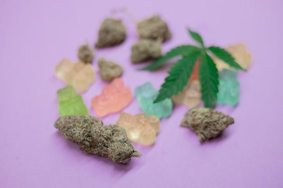 Debunking the Myth: Did Shark Tank Invest in CBD Gummies?