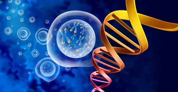 Cadmium Exposure from Particulate Matter Induces DNA Damage and Cell Shape Changes
