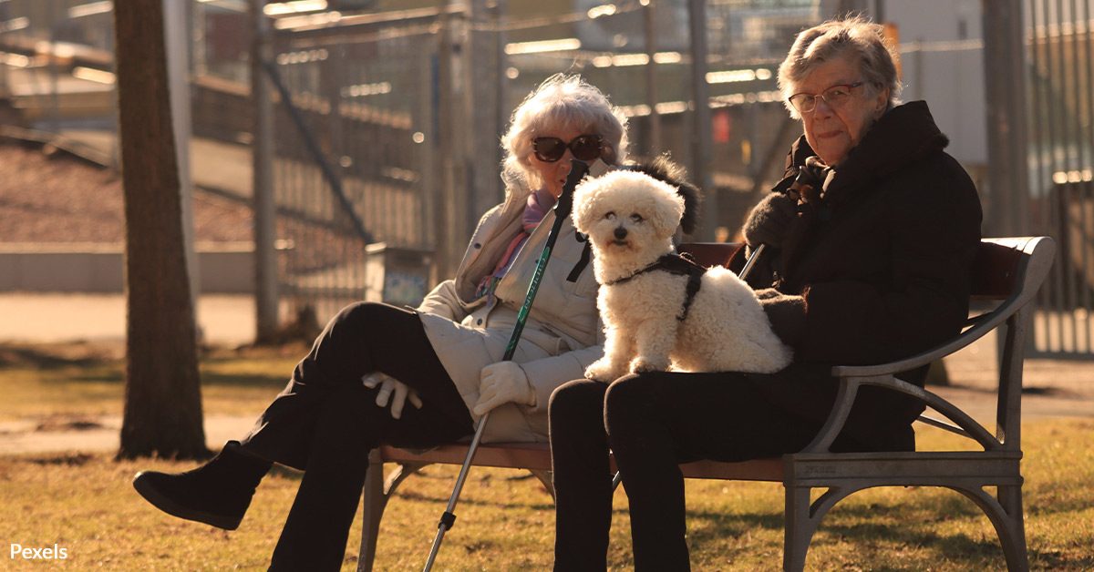 Pets May Slow Dementia Progress in Older Adults Living Alone, Study Reveals