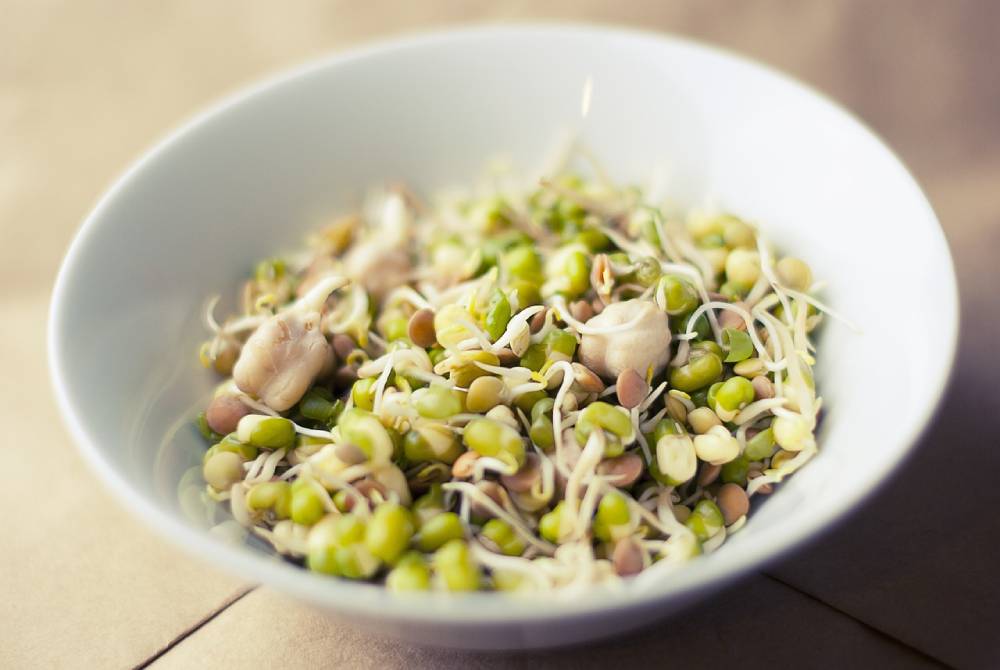 Soy, Nuts, Seeds, and Other Foods Have Compounds That May Lower Breast Cancer Recurrence Risk