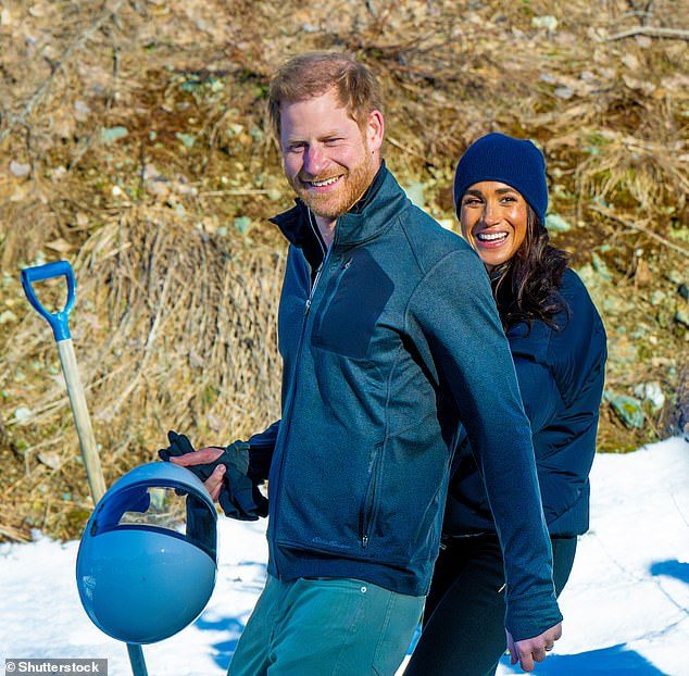 ALISON BOSHOFF: Is Netflix planning to pull the plug on Harry and Meghan – and if it does how WILL they fund their lavish lifestyle?