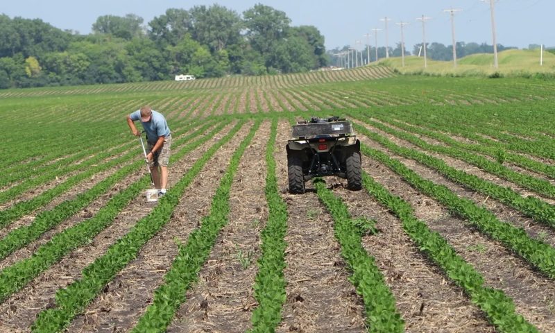 Cancer-Related Diseases and Deaths Spur Actions to Fight Farm Chemical Contamination in Corn Belt