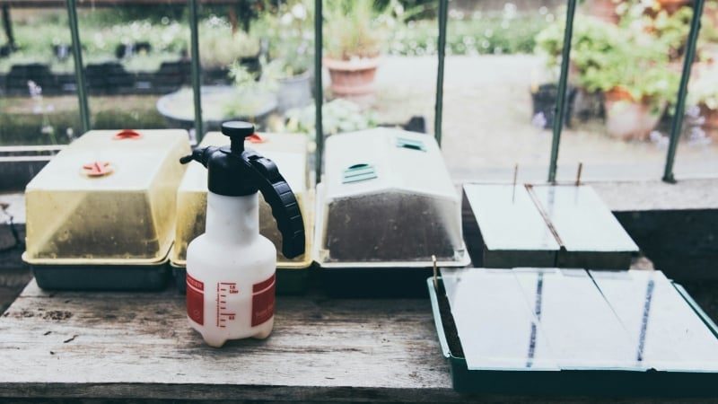 Toxicant Exposures Show Health Effects Across Generations