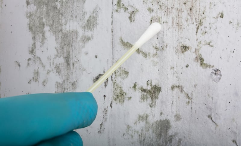 The Uncharted World of Emerging Pathogens