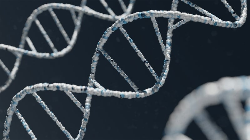 Governments Should Pay the High Price of Gene Therapy
