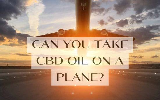 Can You Take CBD Oil on a Plane