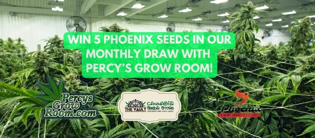 Percy's Grow Room 420 Phoenix Cannabis Seeds