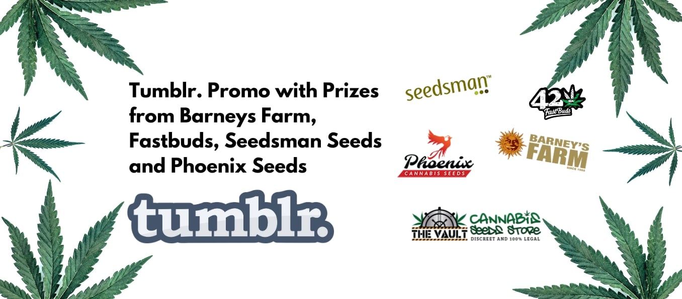 Tumblr. Join The Vault Community – 40 Seeds Giveaway