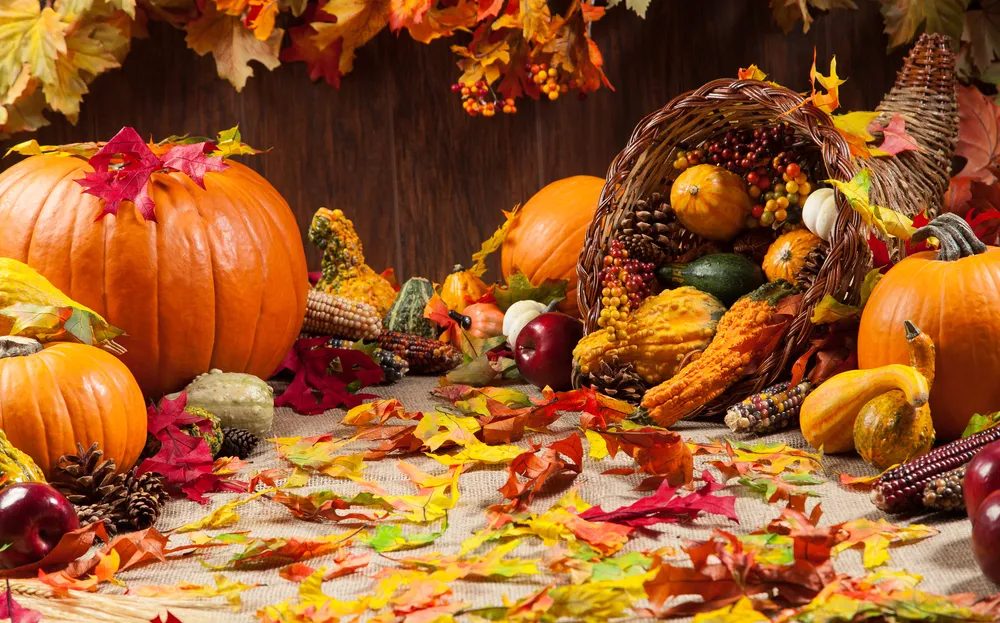 Glam up Your Thanksgiving: Celeb-Inspired Festive Ideas