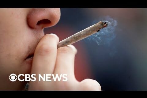 Marijuana & Vascular Dementia