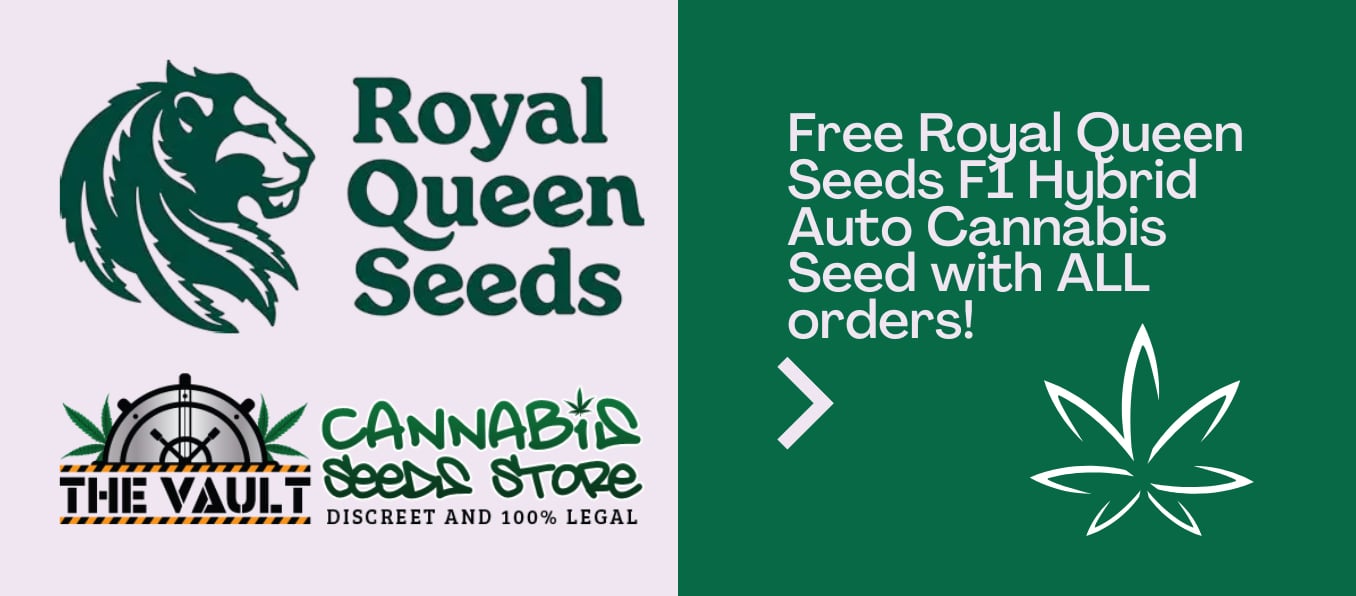 Free Royal Queen Seeds F1 Hybrid Auto Cannabis Seed With ALL Orders