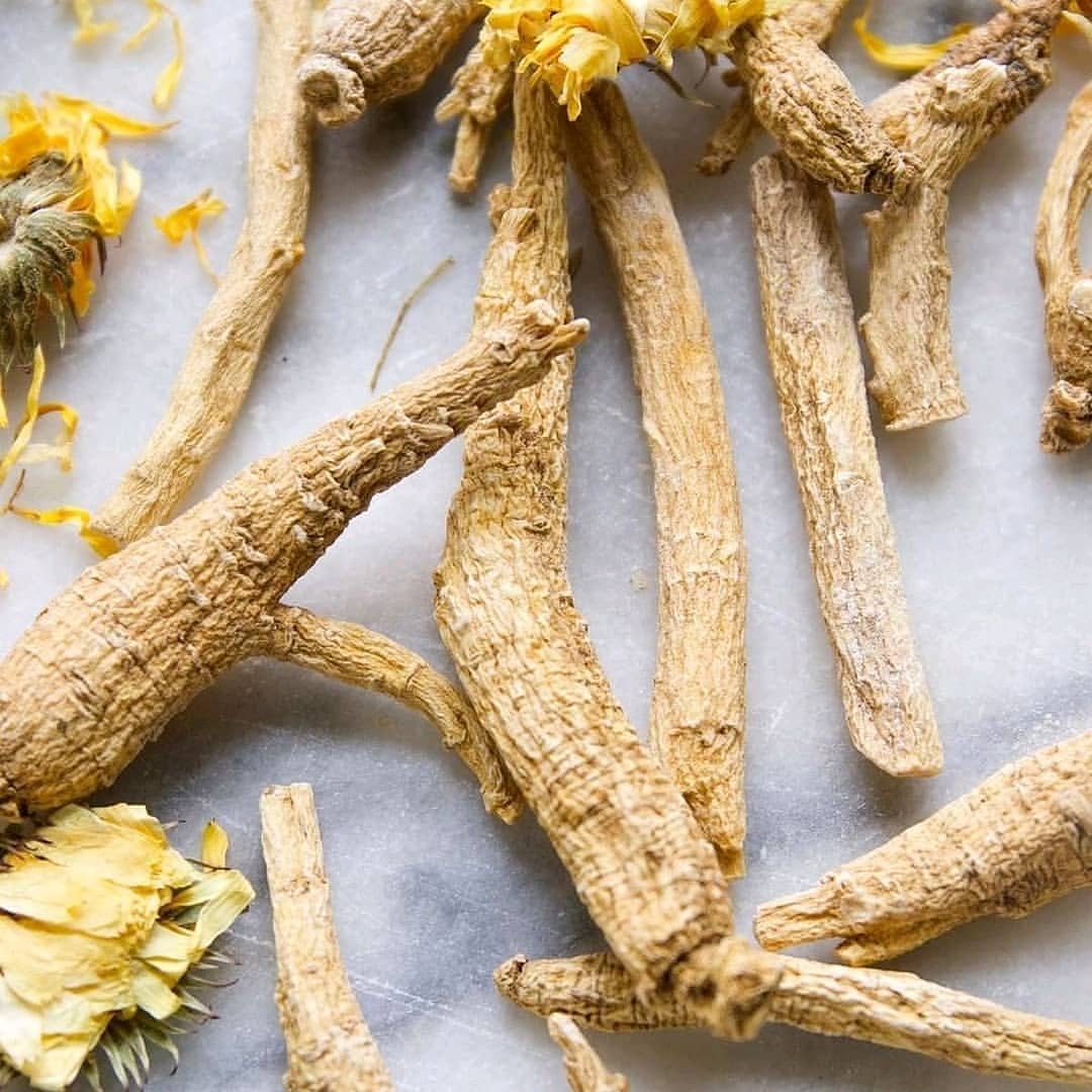 Ginseng: A Mystical Herb – Women Fitness