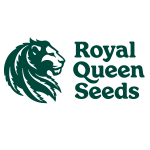 Royal Queen Seeds