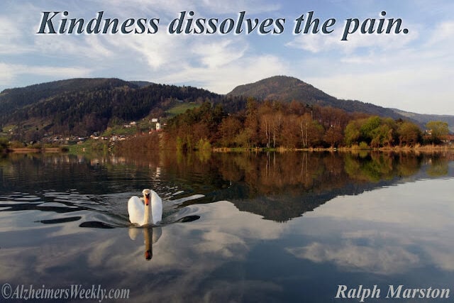 Thought of the Week: Dissolving the Pain