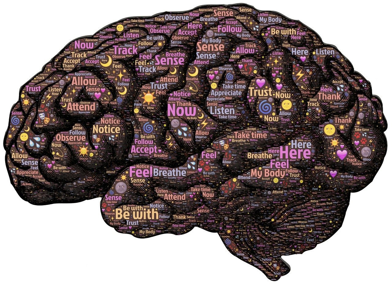 Aphasia: Word Jumbles in Alzheimer’s