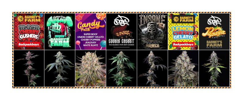 Barneys Farm New Strains