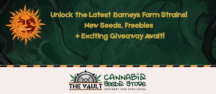 Barneys Farm Genetics Keep Growing at The Vault — Win a Free 10-Pack!