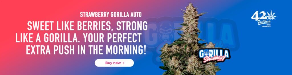 Fastbuds Strawberry Gorilla Buy