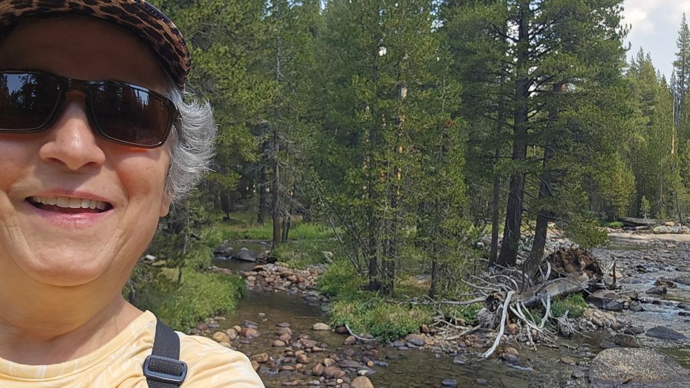 When the Going Gets Tough Take a Caregiver Respite