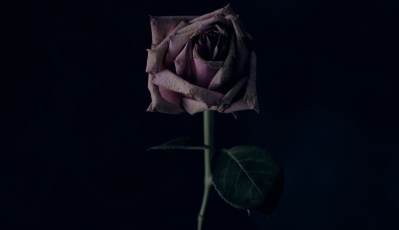 An Age-Old Fear Grows More Common: ‘I’m Going to Die Alone’