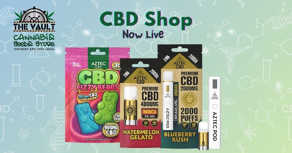 The Vault Expands Beyond the Head Shop with a New CBD Store Launch