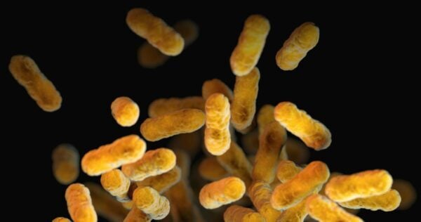 Dr. Ansel Hsiao on Probiotics, Quorum Sensing, and Next-Gen Therapies