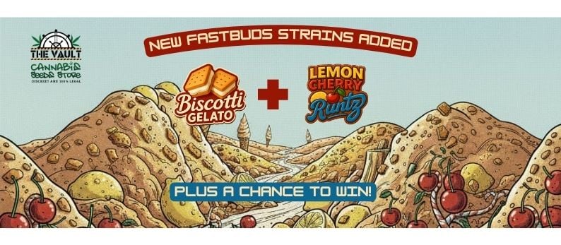 Biscotti Gelato Auto & Lemon Cherry Runtz Auto and Awesome Giveaway!