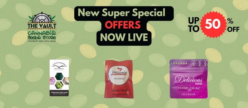 Unmissable Super Special Offers – Huge Discounts on Top Cannabis Seeds