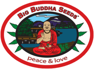 Big Buddha Seeds logo Big Buddha Seeds logo