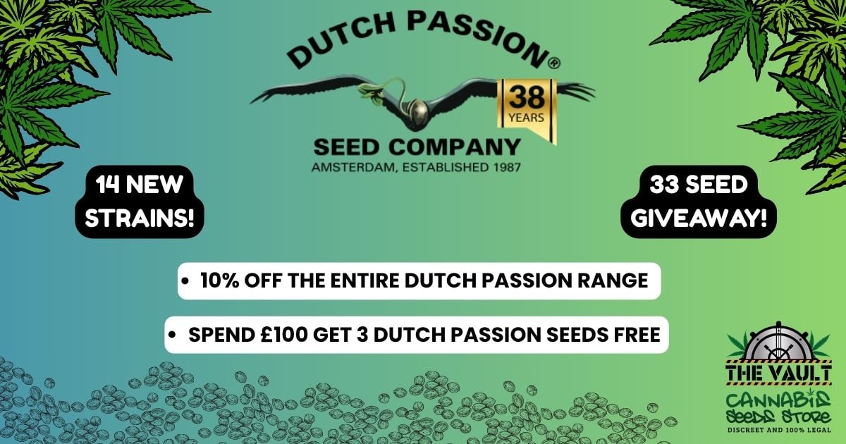 New Dutch Passion Strains, Discounts & Freebies This Green Friday