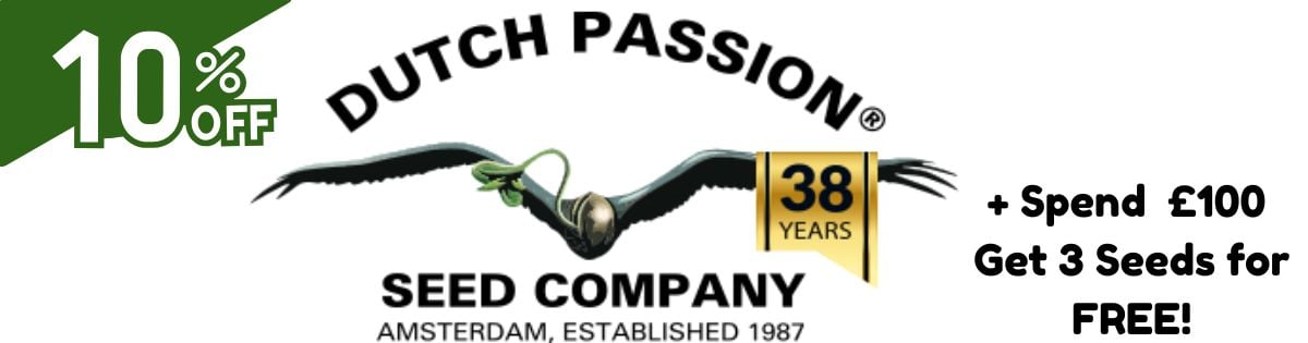 New Dutch Passion OFFERS