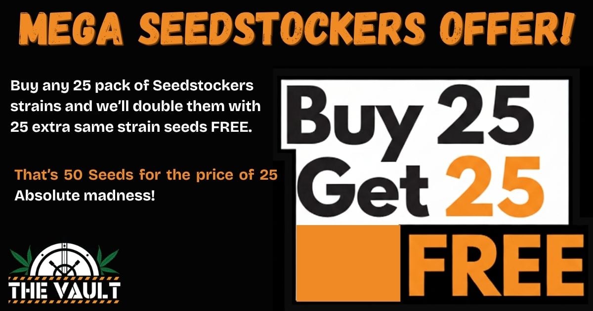 BOGOF Green Friday Exclusive on 25 Packs of Seedstockers Seeds