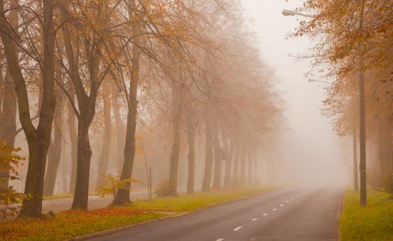 The Day I Lost My Hearing and Found My Life