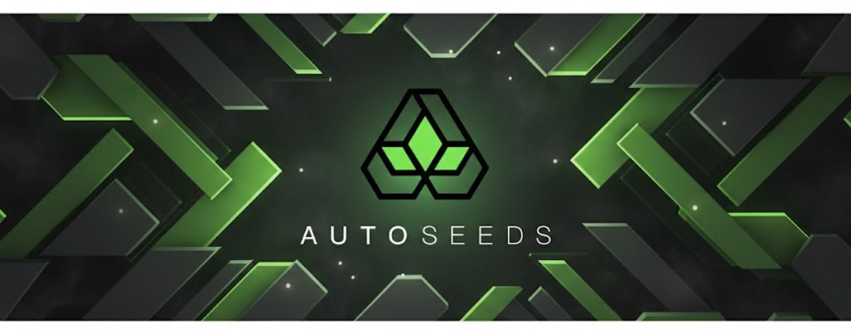 Auto Seeds Auto Seeds