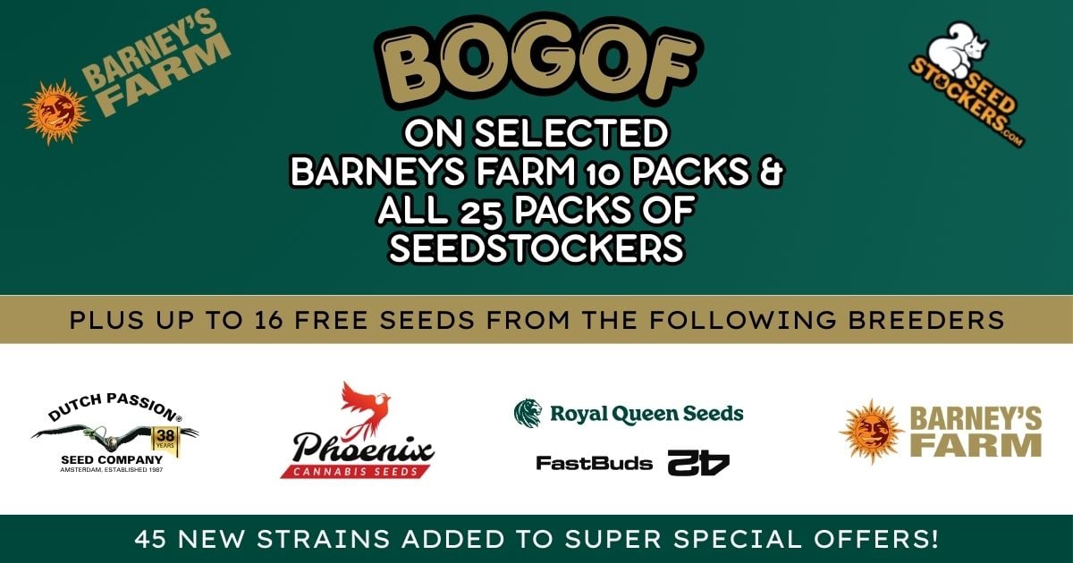 Why Growers Are Getting Double Seeds Without Paying More