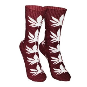 CREATOR: gd jpeg v1 0 (using IJG JPEG v62), quality = 85