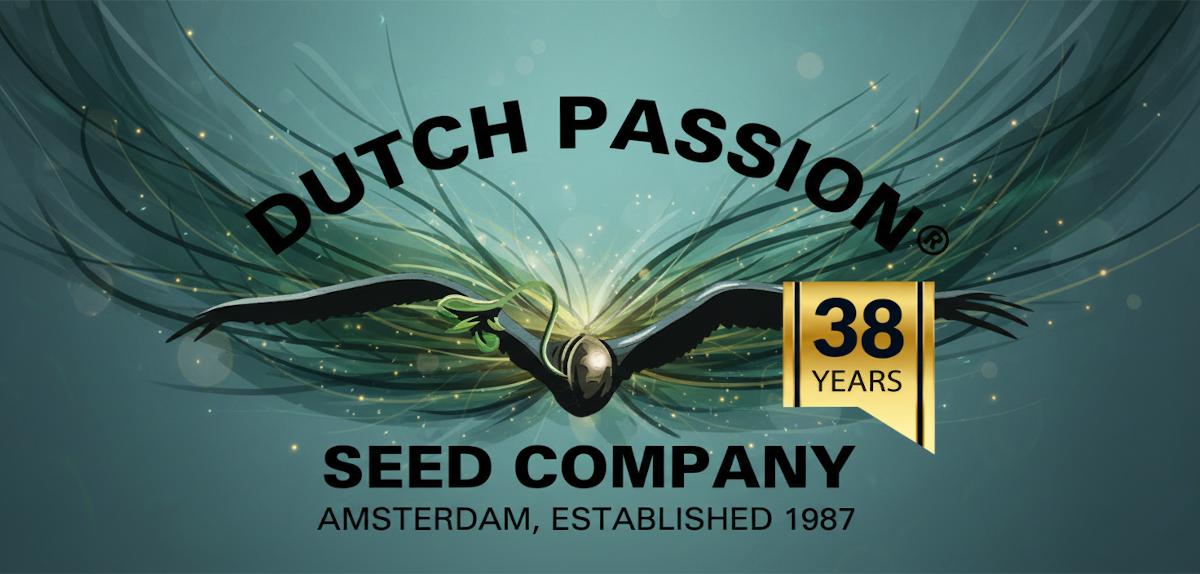 Dutch Passion Sub Banner Dutch Passion Sub Banner