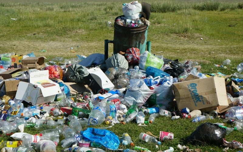 Plastic Waste Is Costing Society Billions, Duke Study Finds