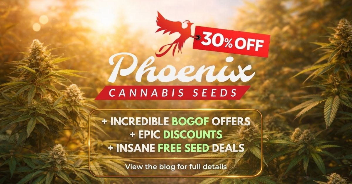 30% OFF Phoenix Seeds & Massive Grower Deals Inside