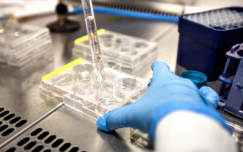 Examining Private Equity’s Role in Fertility Care