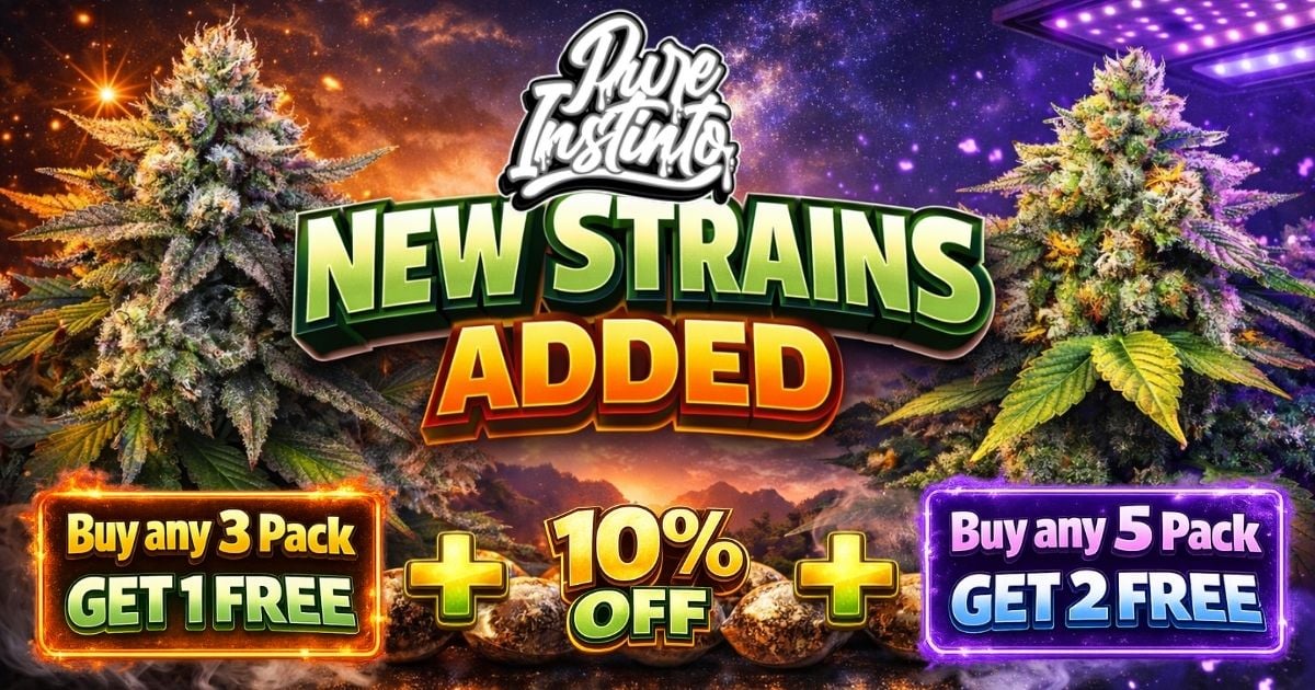Pure Instinto 30 Seed Giveaway with New Genetics