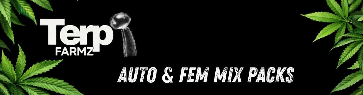 Terp Farms New Cannabis Seed Mix Packs