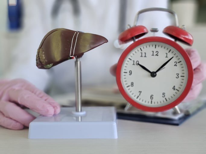 How Long Does It Take Your Liver to Repair if You Stop Drinking?