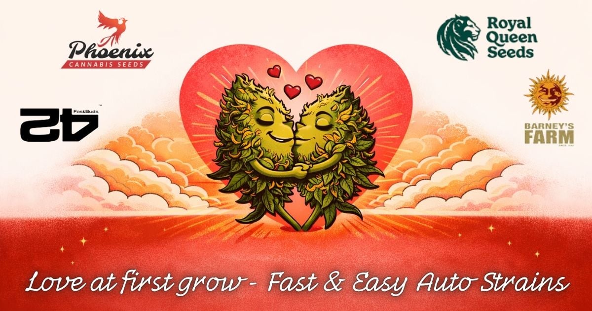 Fast and Easy Auto Strains