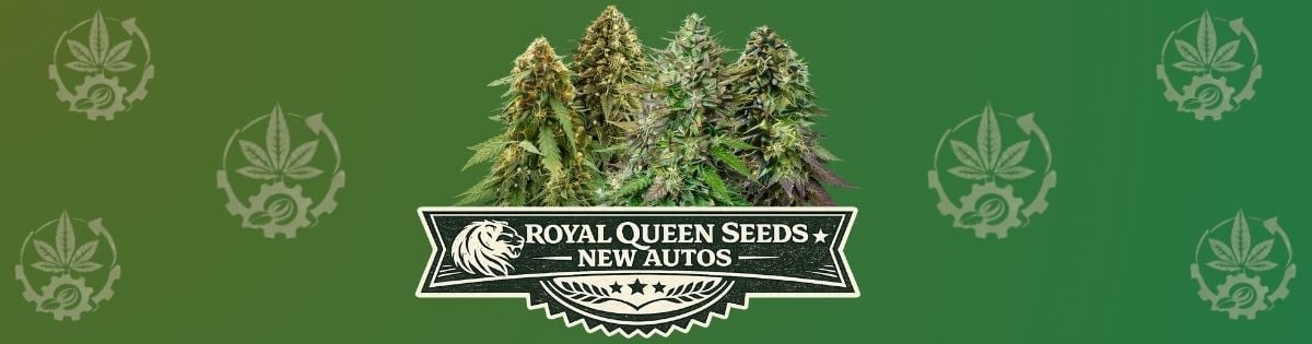 RQS New Autos