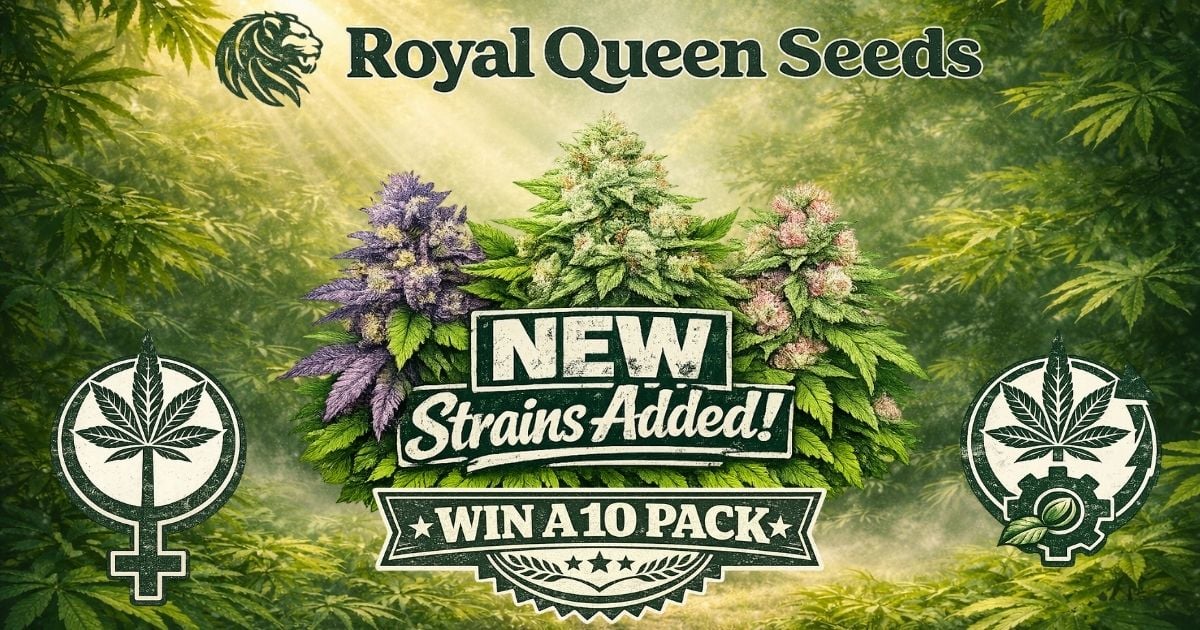 New Royal Queen Seeds Strains and a Chance to WIN