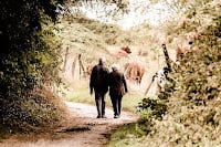 Taking a Walk Improves Brain Health