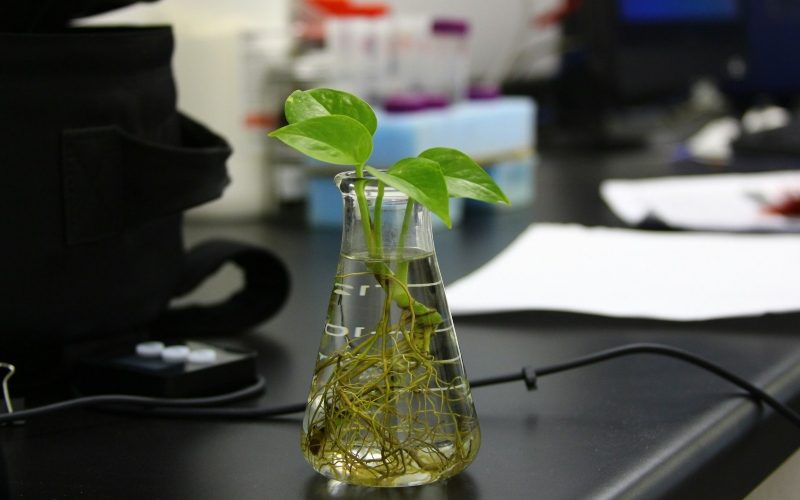 The Unlikely New Director of U.S. Environmental Health Research