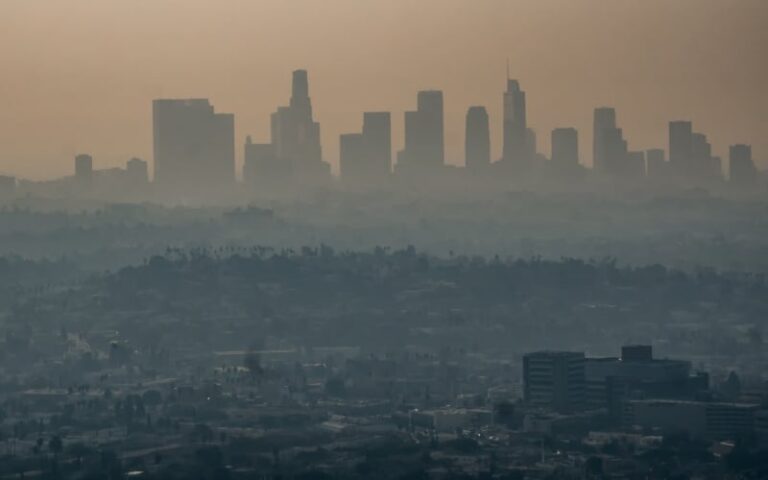 What Air Pollution Does to the Human Body
