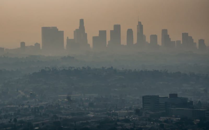 What Air Pollution Does to the Human Body